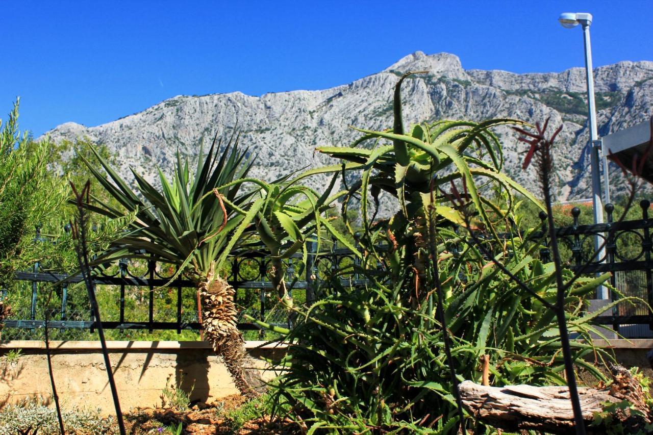 Apartments With A Parking Space Orebic, Peljesac - 10157 Exterior foto